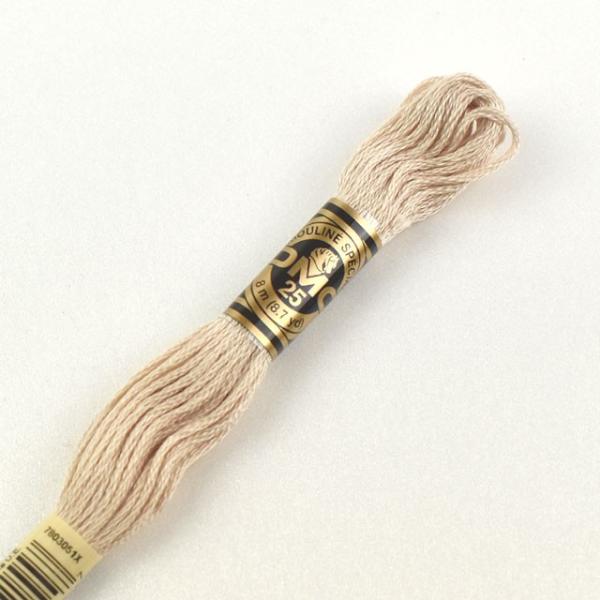 hイޗ DMC hJ 25 F543 06Bg99_