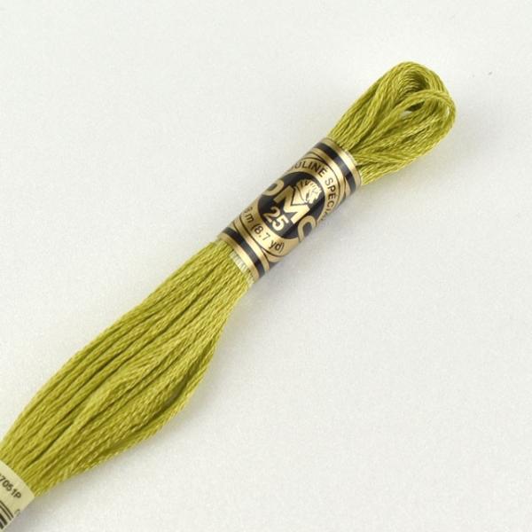 hイޗ DMC hJ 25 F166 06Bg99_