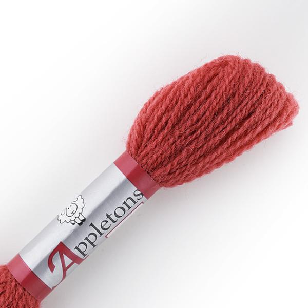 hイޗ Appletons-Abvg- NEFE[ F225 06Bg99_