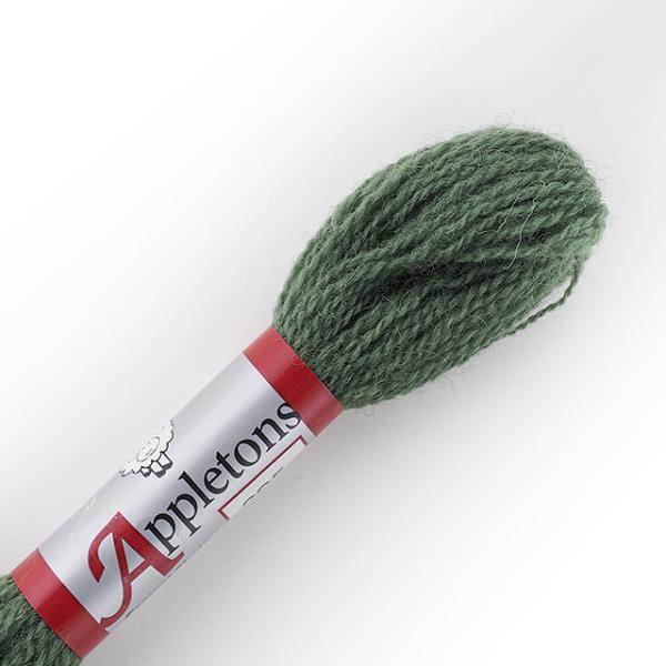 hイޗ Appletons-Abvg- NEFE[ F295 06Bg99_