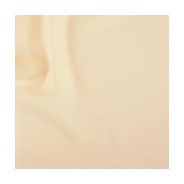 _Ԍ10OFF^ n 50DVtHW[[bgi5050j 2.sNnx[W 10Bf09_