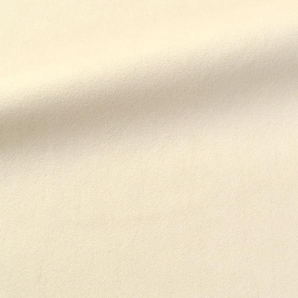 _Ԍ10OFF^ 琶n PSAXG[hiPS851Aj A-01.AC{[ 10Bn99_