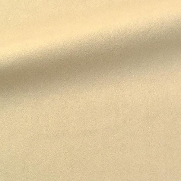 _Ԍ10OFF^ 琶n PSAXG[hiPS851Aj A-02.x[W 10Bn99_