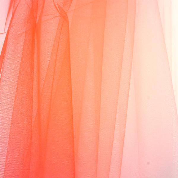 _Ԍ20OFF^ n Of[V`[ i700007j 4.,IW 10Bn99_