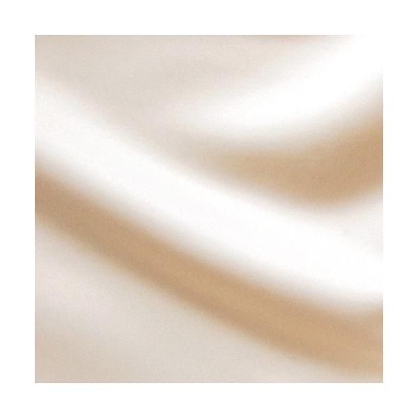 Ten ݕvli100201j 4.x[W 10Ae08_