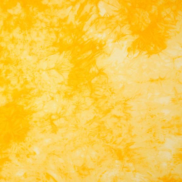 ���n �������v�����g/�V�[�`���O�i060�j 501.���F 09Aa01_