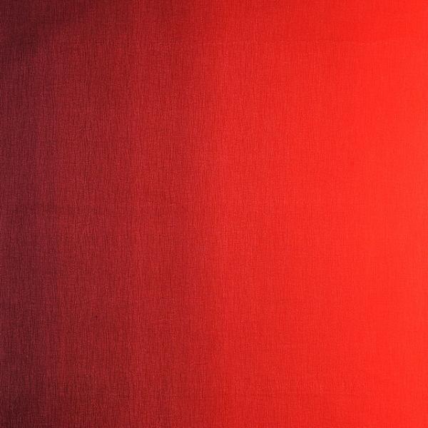 _Ԍ20OFF^ n Of[ViDD11216Sj 303.Z{h[`Ԍn 09Aa01_