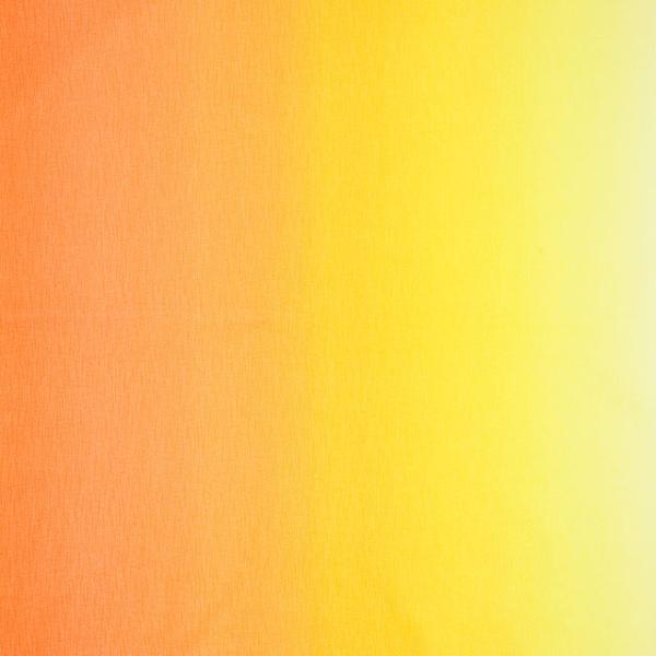 _Ԍ20OFF^ n Of[ViDD11216Sj 304.IW`Fn 09Aa01_