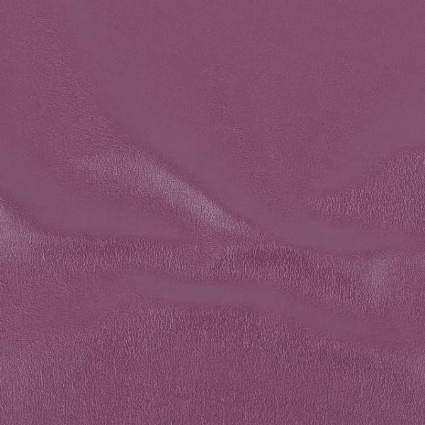 琶n Tj[U[iG-44j 54.p[v 10Bn99_