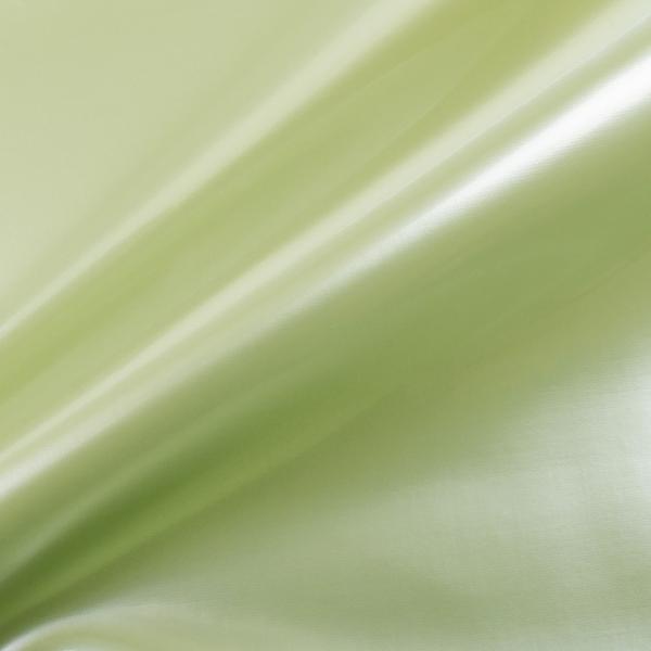 _Ԍ10OFF^ Gin XR[iG-63j 61M.CgO[ 10Bn99_