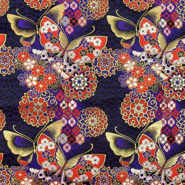 En lTr Xi155-8699-6j  09Bh18_