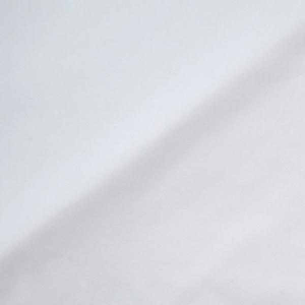 n 60ȃ[i174948j 10.AC{[ 09Bm28_