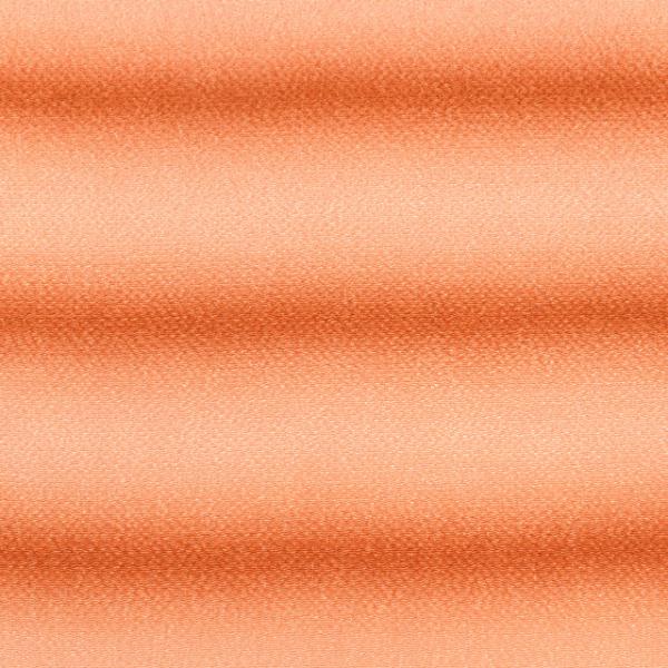 ߂񐶒n FT ڂi121180j 5751.F 09Bh18_