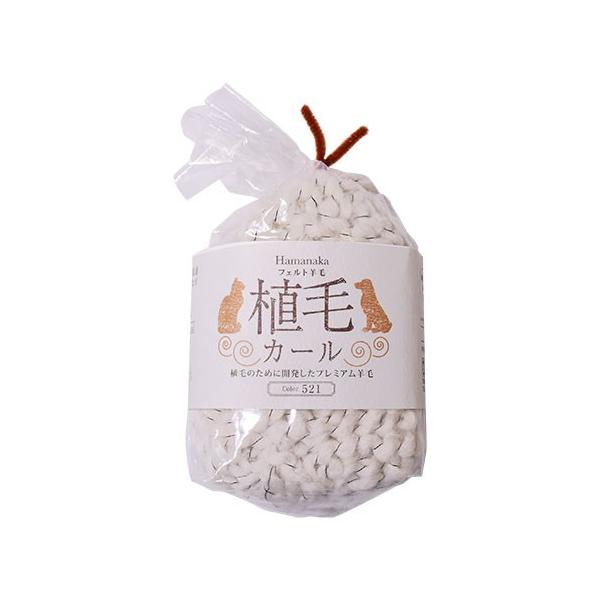 tFgr n}iJ AуJ[iH-440-005j 521.zCg 06Bl99_