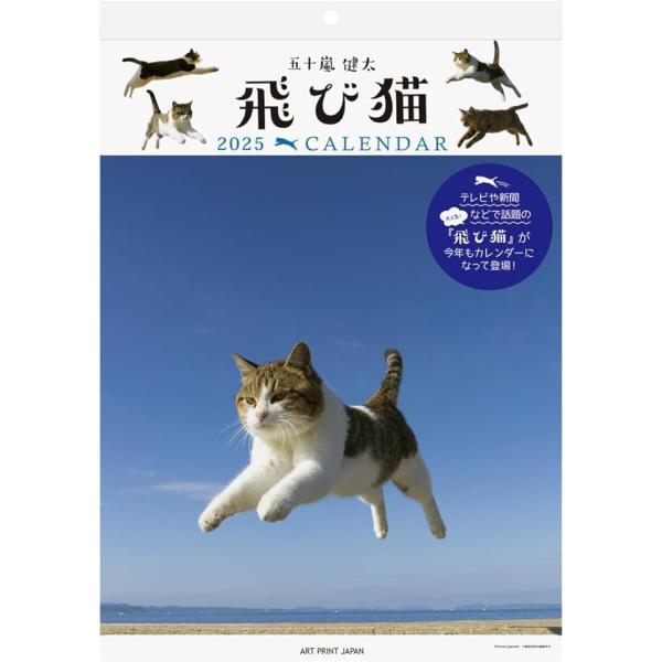 2025年 飛び猫 カレンダー No.034