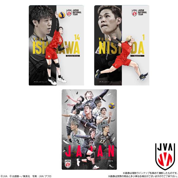バンダイ JAPAN NATIONAL VOLLEYBALL TEAM -男子日本代表ver.- ツインウエハース 2026（20個入1BOX）