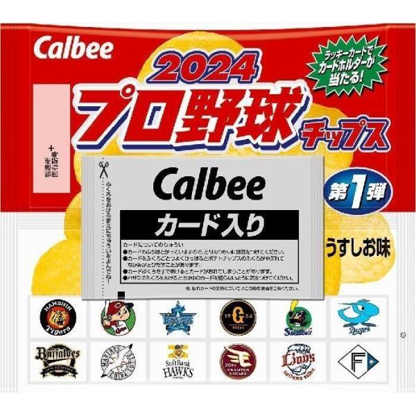 カルビー 2024プロ野球チップス 22g×24個