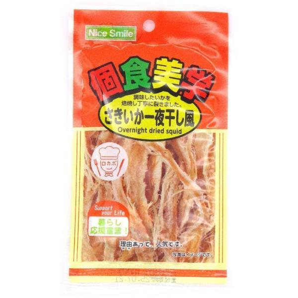 NS 個食美学さきいか一夜干し風 10g×12個 : おかげさまマーケット