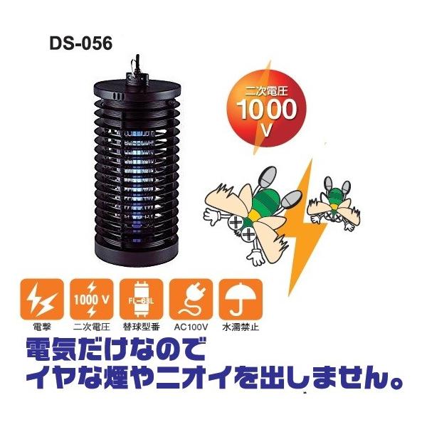 DAISIN@dE@VR@DS-056@