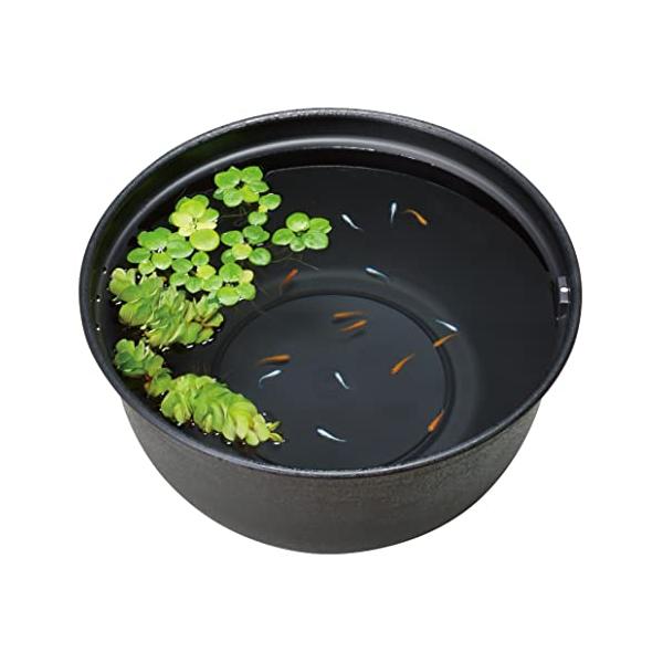 ジェックス GEX メダカ元気 メダカのための飼育鉢 黒 420 約外径42*高さ20cm 約16L 屋外飼育 樹脂製 軽量 2つの水抜け穴 睡蓮鉢 黒 水容量:約