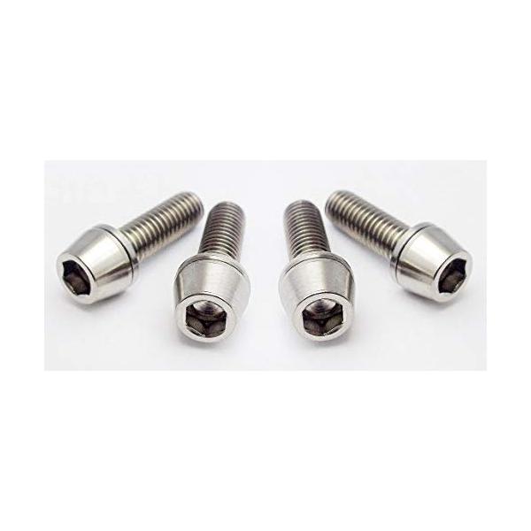 イージーワークス(EGWORKS) EGWORKS 高強度64チタンボルト ULTRA-Ti ステム用M5/16mm ワッシャーつき 4本セット TIST-16N4-00