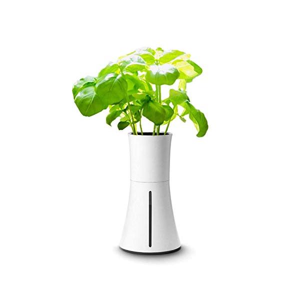 色：スモークホワイト 自動で水やり 枯らす心配なし どんな植物も手間なく育てる 高い生産性 土壌よりも30-50%早い成長 オシャレなデザイン 北欧デザイン * 自然 * スマート技術 クリーンで清潔 無菌で清潔、無臭、害虫も繁殖しない 豊...