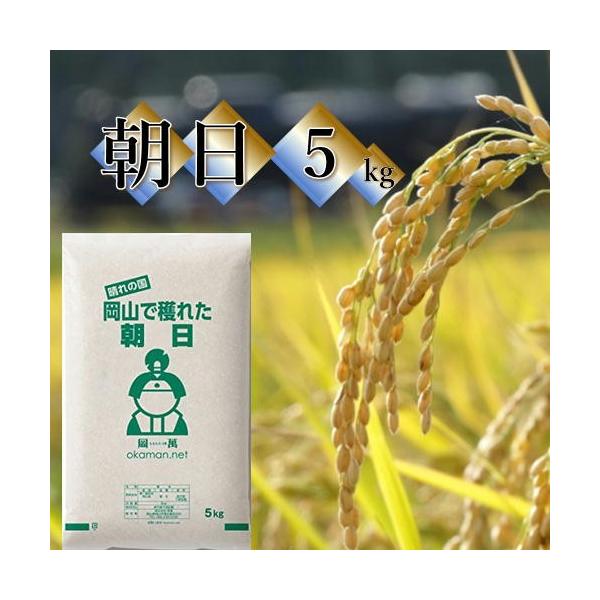 V ߘa7NY  5kg (5kg×1) RY   