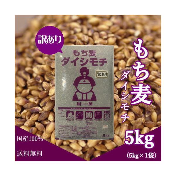 【訳あり】 もち麦 ダイシモチ 5kg (5kg×1袋) 紫もち麦 岡山県産 送料無料