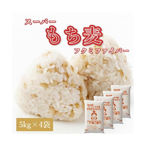 X[p[ tN~t@Co[ 20kg (5kg×4) ߘa6N RY  