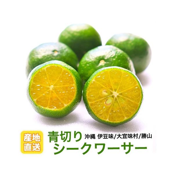 シークワーサー 果実 青切り 生 青切りシークワーサー1kg :a0001:沖縄厳選グルメ専門店 山将 通販 大宜味村産青切りシークワーサー 1kg 農薬不使用