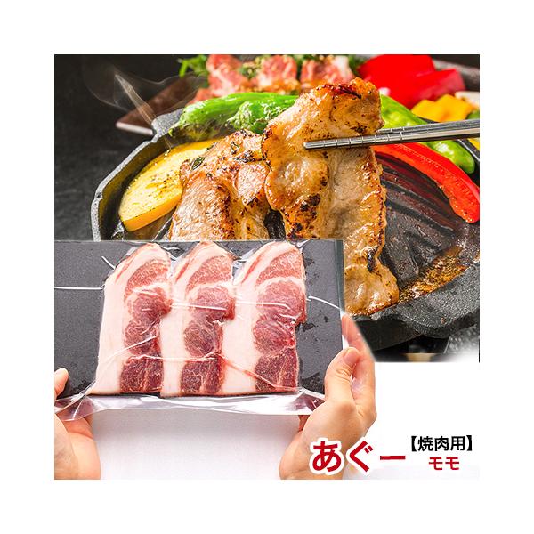 AO[ [ ē  O  XCX 500g 2`3lO