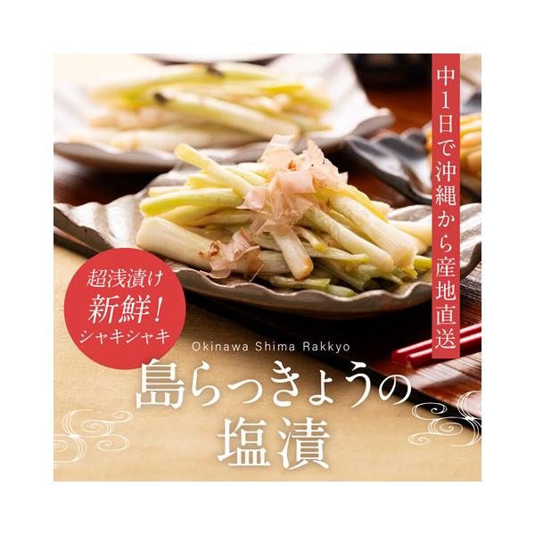 島らっきょう 塩漬け 塩らっきょう 250g 3袋 : 沖縄厳選グルメ専門店