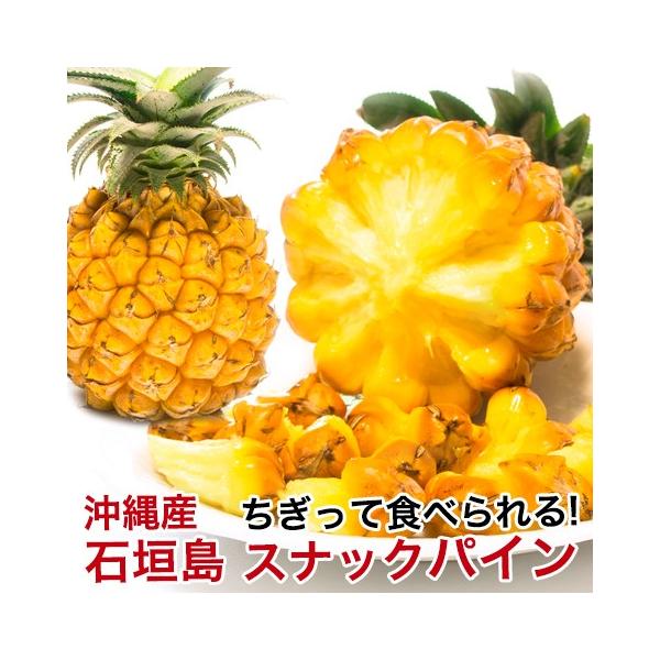 スナックパイン 石垣島産 沖縄 パイナップル 500g 800g 安心保証付き Buyee Buyee 日本の通販商品 オークション の代理入札 代理購入