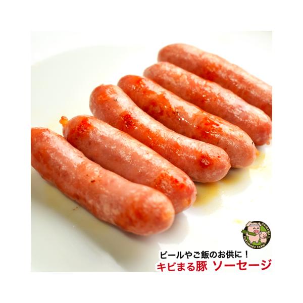  т܂ Ⓚ \[Z[W o[xL[  BBQ iv[/20g×6{)