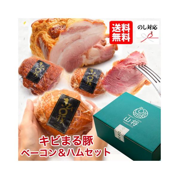 Lr܂ Ε O Mtg {Xn V_[x[R (܁[/600/3`4lO)