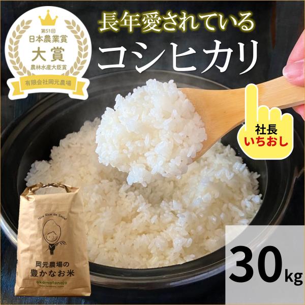 令和6年産 コシヒカリ お米 30kg 玄米 精白米 選べる 1袋 一等 令和6年産 コシヒカリ お米 30kg 玄米 精白米 選べる 1袋 一等
