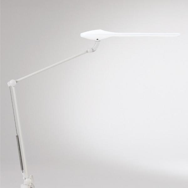 IJ@PRELE v[ LEDfXNCg Nv^Cv _uA[ 865BDA | LED fXNCg ドCg qlgi