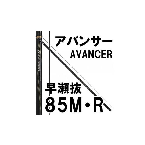 ダイワ アバンサー 早瀬抜 85M・R (ロッド・釣竿) 価格比較 - 価格.com