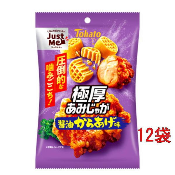東ハト 極厚あみじゃが・醤油からあげ味45g×12袋