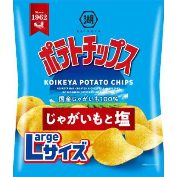 湖池屋 LARGEサイズポテトチップスじゃがいもと塩 112g 12コ入り 2025