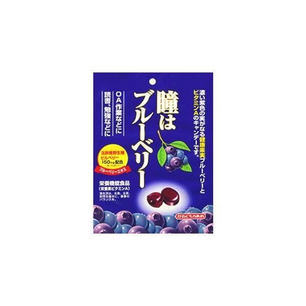 川口 瞳はブルーベリー 100ｇ 10コ入り Buyee Buyee Japanese Proxy Service Buy From Japan Bot Online