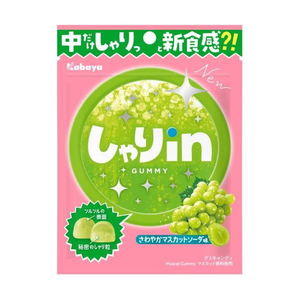 カバヤ しゃりinグミ　マスカットソーダ 52 g 120コ入り 2025/03/04発売 (4901550271918c) カバヤ しゃりinグミ マスカットソーダ 52 g 120コ入り 2025/03/04発売