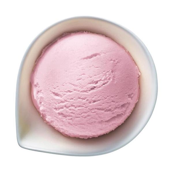 (n著) (Pi) Ɩp be x[VbN o[Xgx[ 4L (Ⓚ)i590021686skj