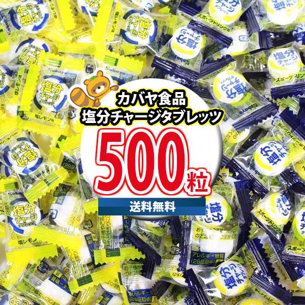 カバヤ食品 塩分チャージタブレッツ 500粒 大容量 2種アソート(塩