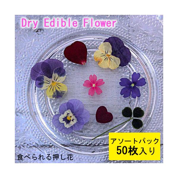 Hp hCt[(S)Hׂ鉟 hCGfBut[  5A\[gpbN 50 LЃg [(omtmb7044)