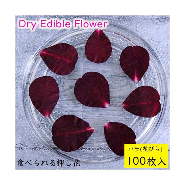 Hp hCt[(S)Hׂ鉟 hCGfBut[  o(Ԃт) 100  LЃg [(omtmb7233)