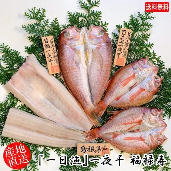 (n著)Mtg Zbg Yn xX uv銱 \(Ñ1Êǂ2EȂ1{jⓀ(sot101)