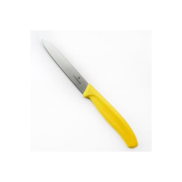 VICTORINOX BNgmbNX yeBiCt n nn10cm CG[