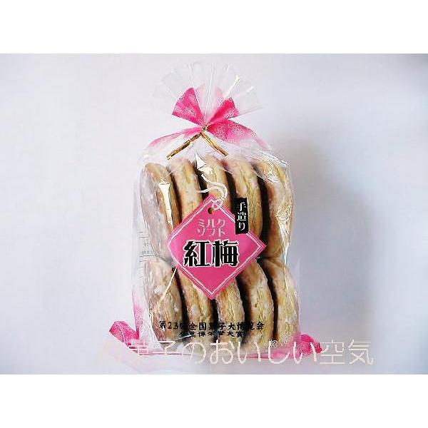 内容量10枚　希望小売価格(税込)1個378円この商品の配送方法は佐川急便普通便です。カート内での『お届け方法』は、佐川急便をお選びください。段ボール箱梱包発送２個まで、佐川急便普通便６０サイズ、３個以上は、ご注文後の当店からのメールで送料...