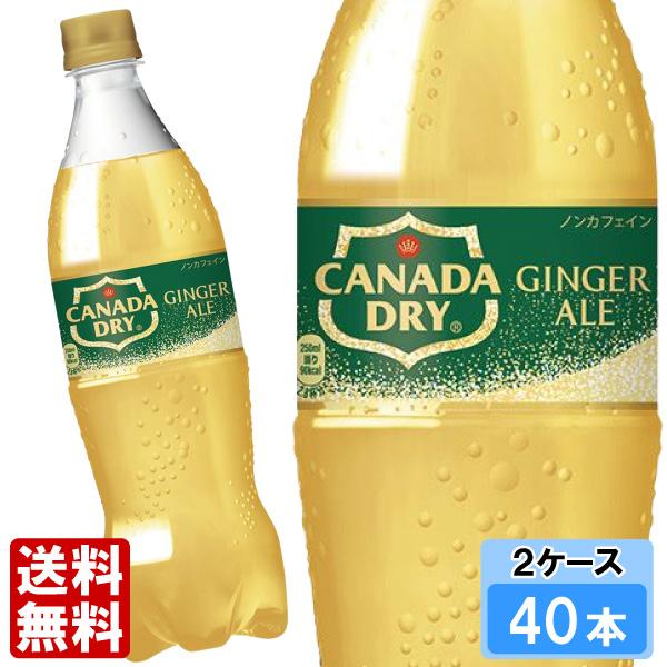 カナダドライ ジンジャーエール 700ml 40本 （20本×2ケース） PET 炭酸